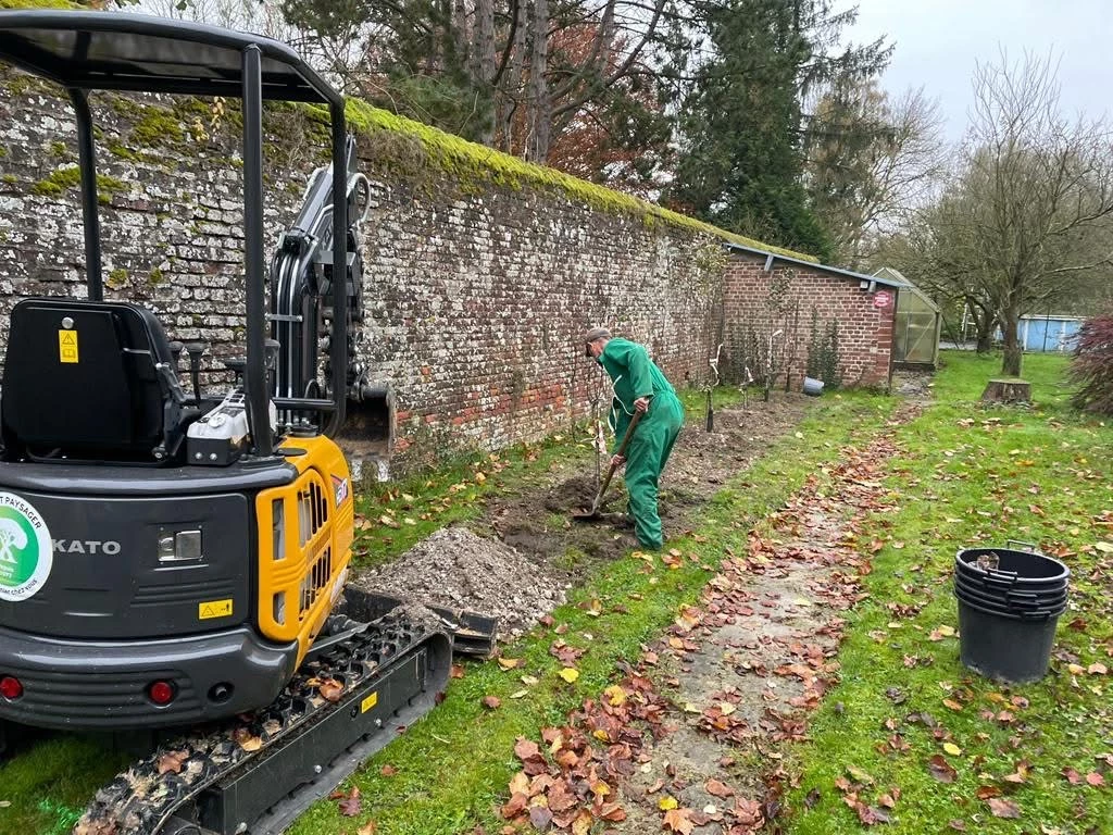 Plantation arbres et arbustes