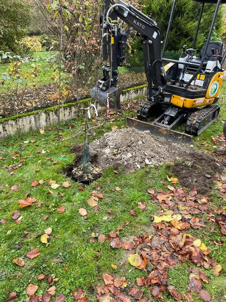 Plantation arbres et arbustes