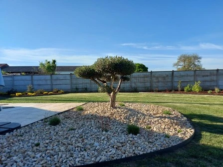 Les Massifs Plantés