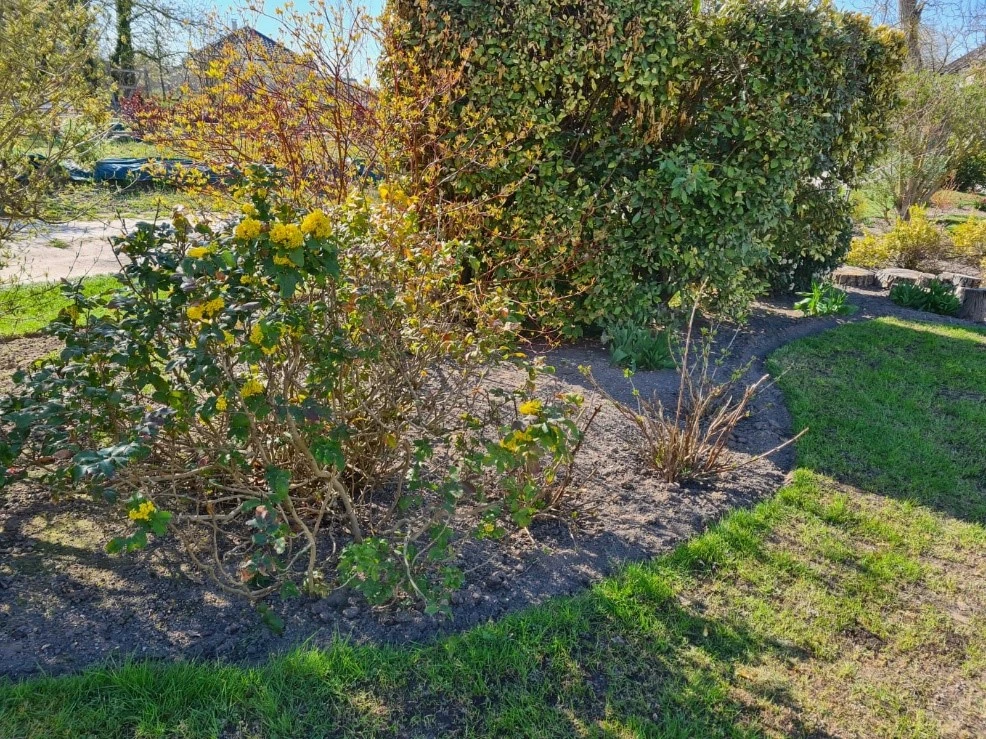 Entretien des Massifs