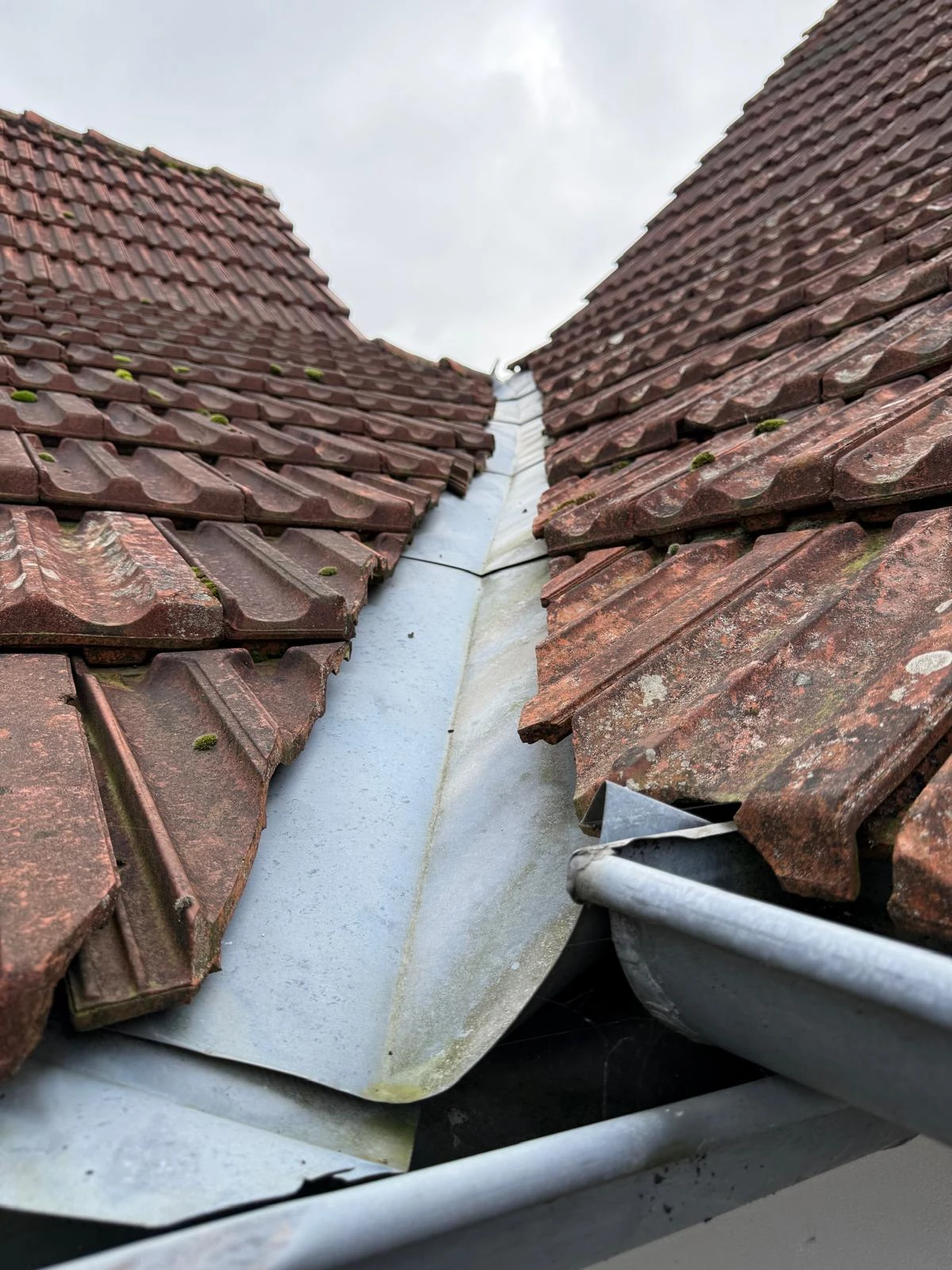 CHANTIER COUVERTURE & ZINGUERIE WISSEMBOURG, NIEDERLAUTERBACH, RIEDSELTZ, LEMBACH