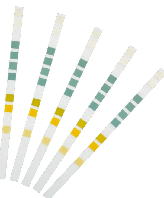 50570 Oase QuickSticks - Test de l'eau