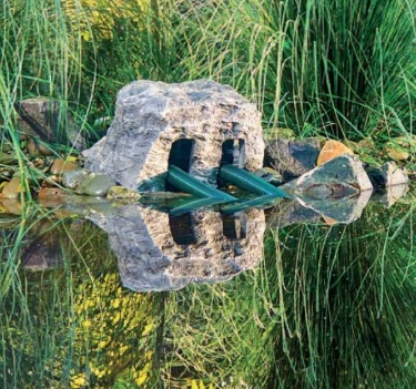 77831 Cache aspect roche