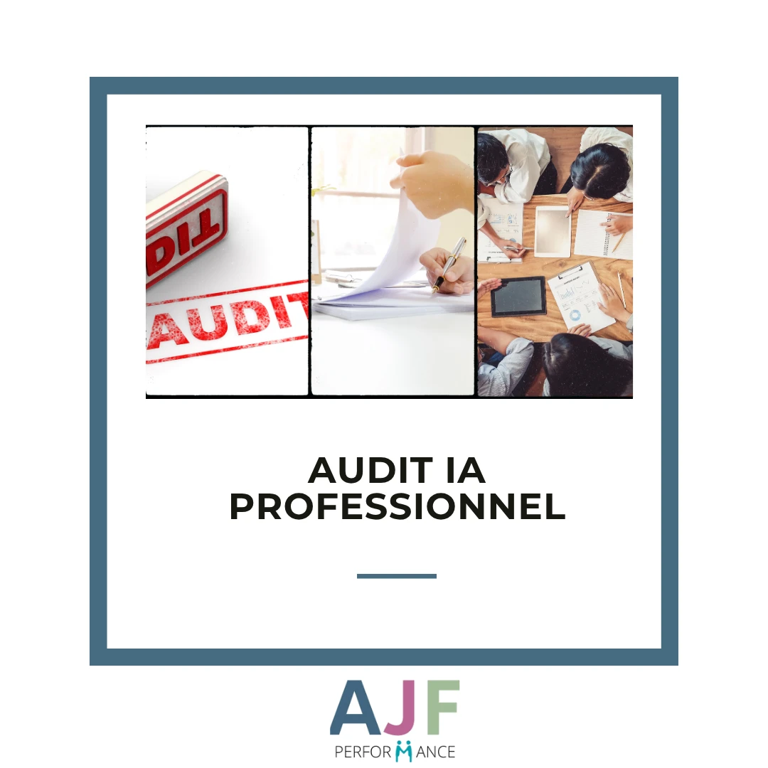 Audit Process IA Professionnel – Cartographie & Feuille de Route
