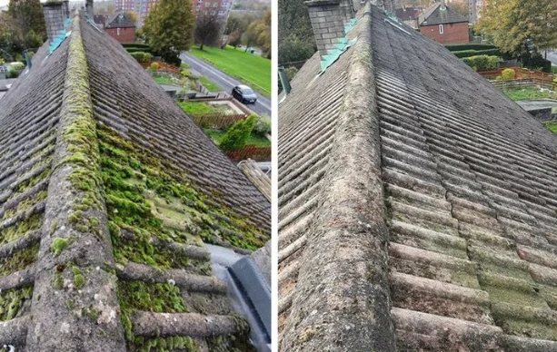 Particulier - Démoussage de toiture – Somme, Oise et Aisne - GREANER