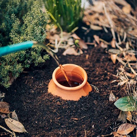 Ollas Jamet origin O3