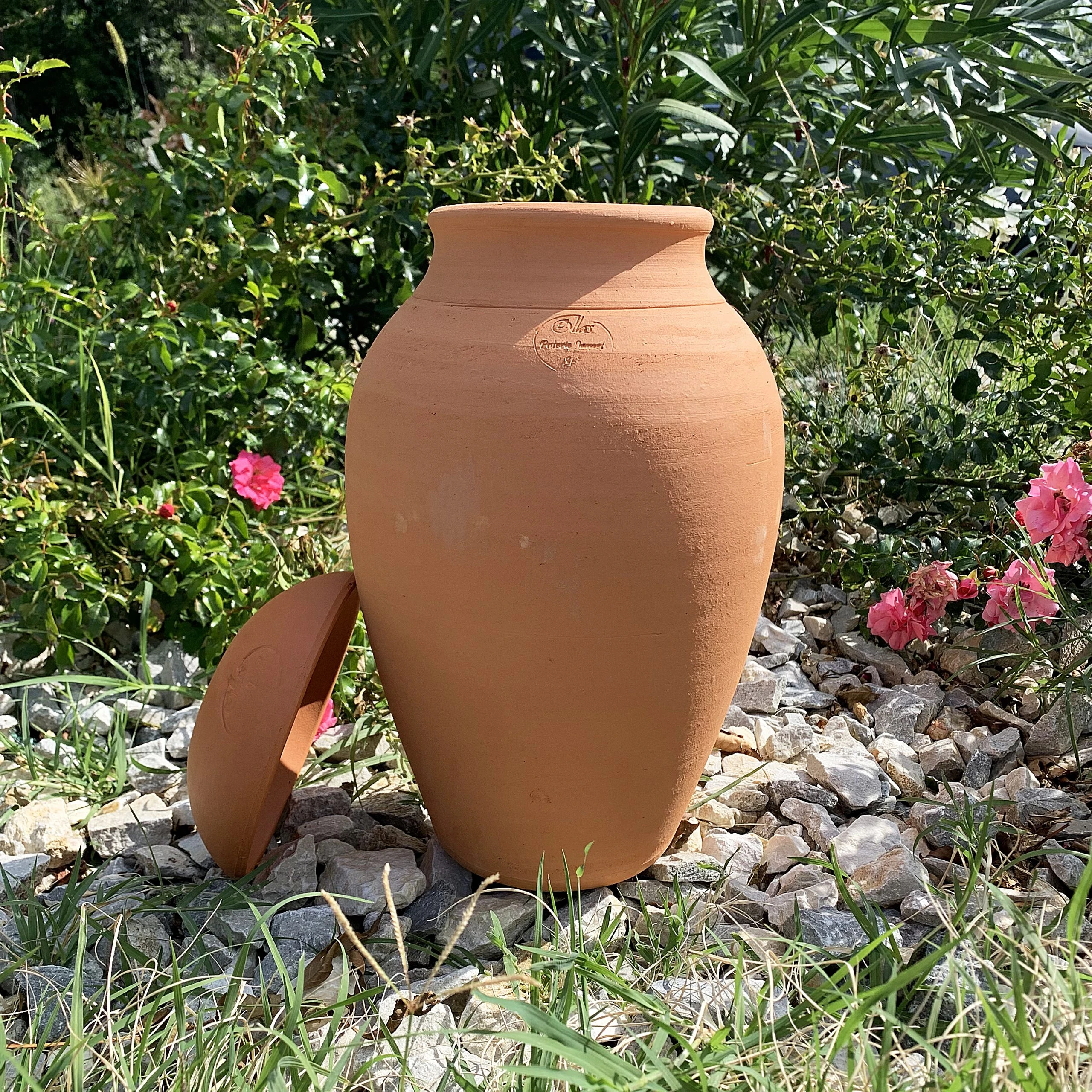 Ollas Jamet origin O7