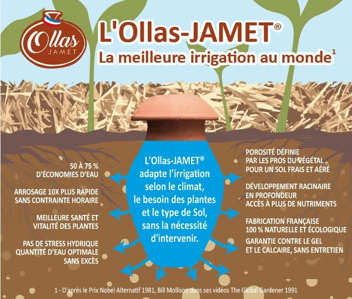 Ollas Jamet origin O7