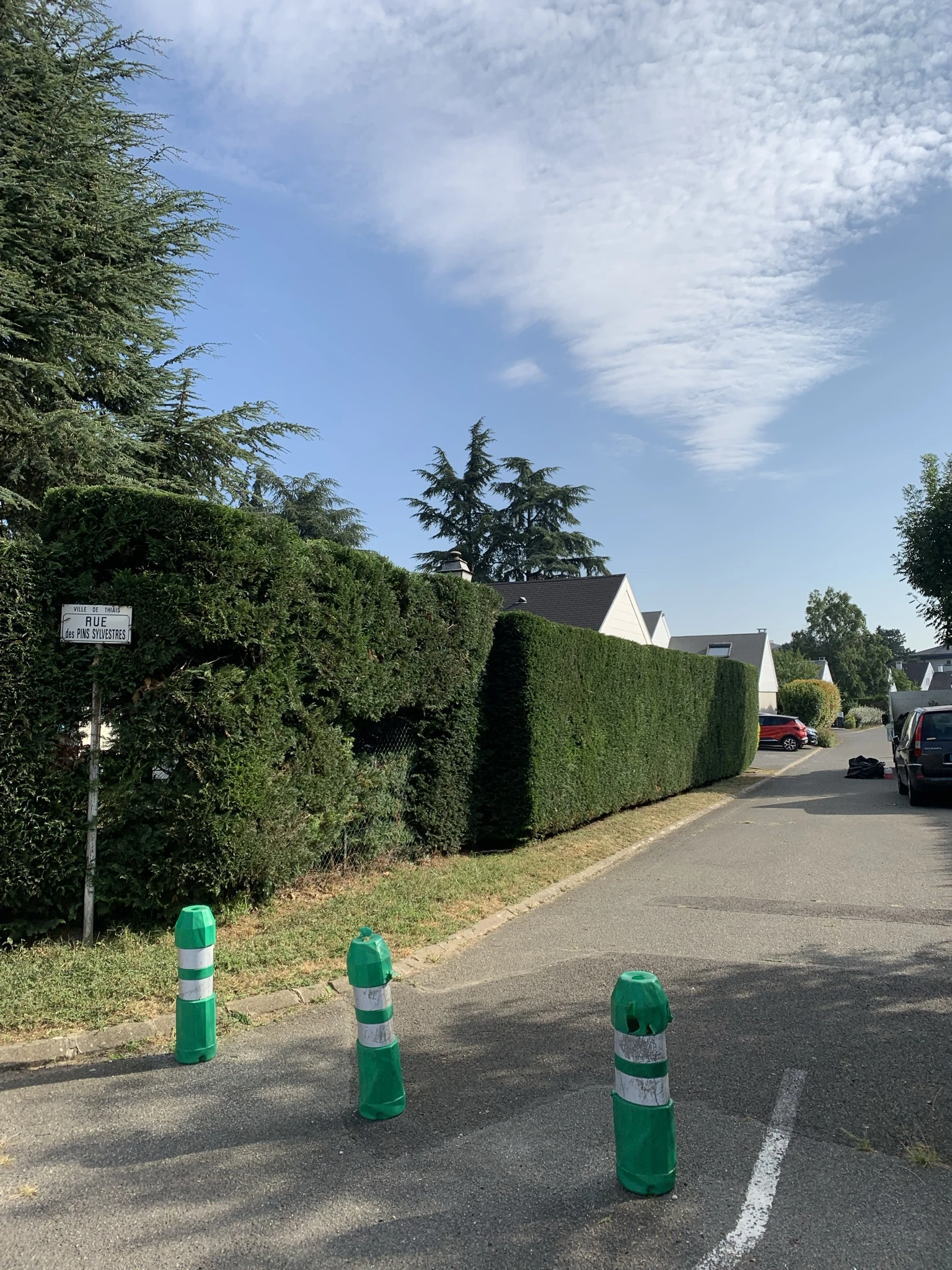 Prestation de taille de haie