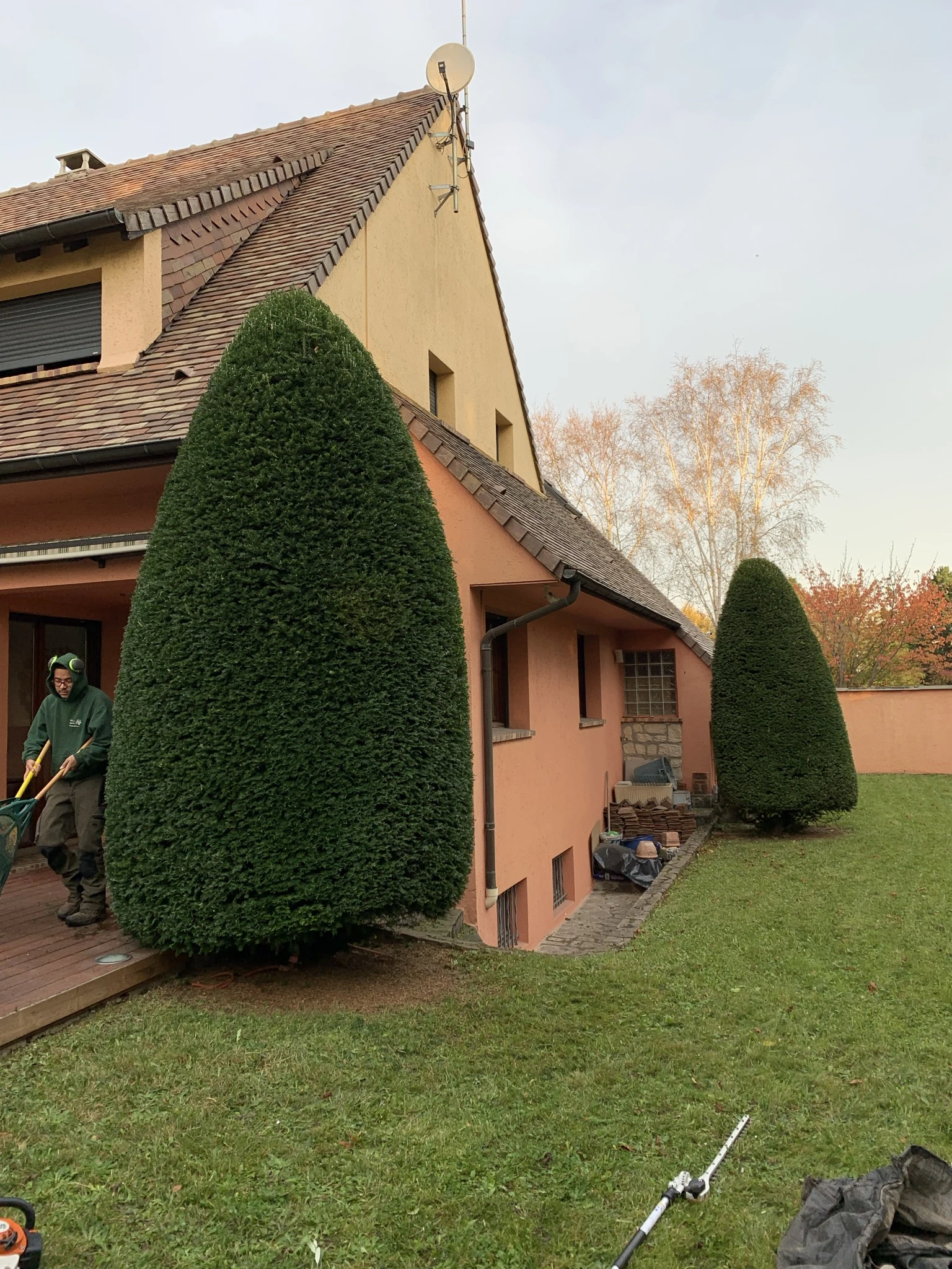 Prestation de taille de haie