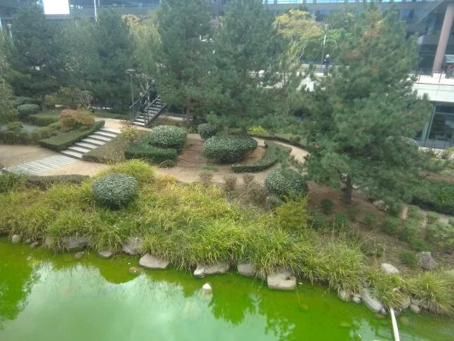 Création d’espaces verts pour particuliers, professionnels et collectivités – PRO PAYSAGE