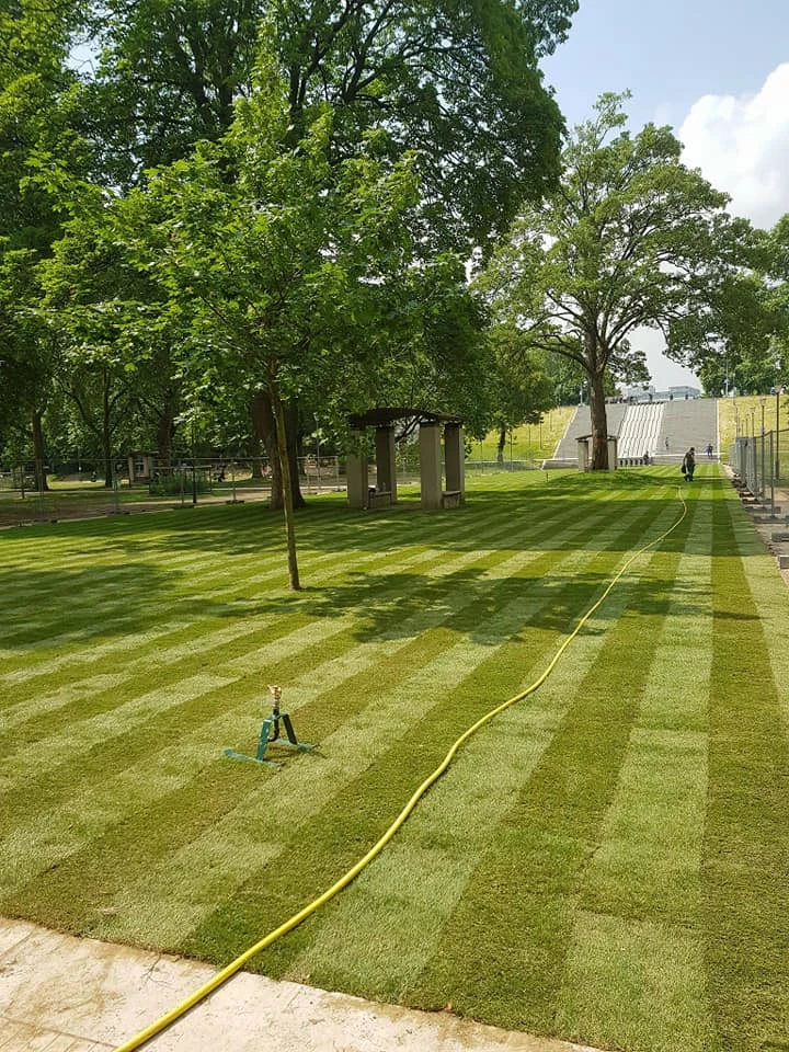 Engazonnement pour particuliers, professionnels et collectivités – PRO PAYSAGE