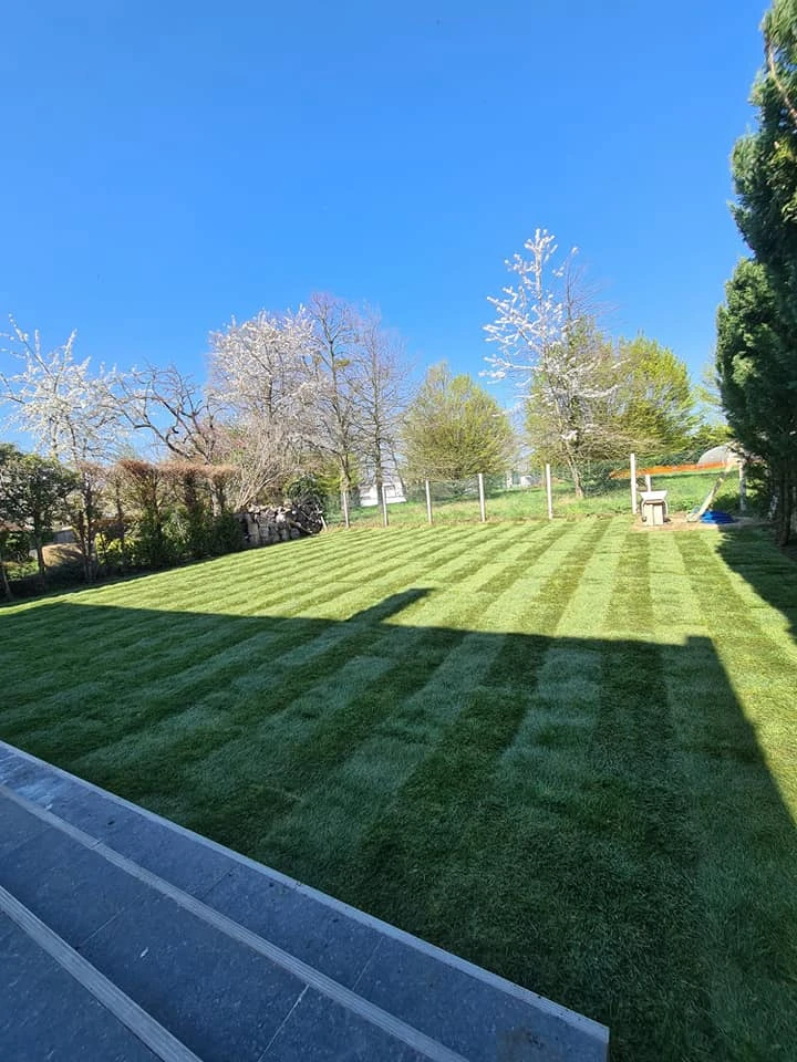 Engazonnement pour particuliers, professionnels et collectivités – PRO PAYSAGE