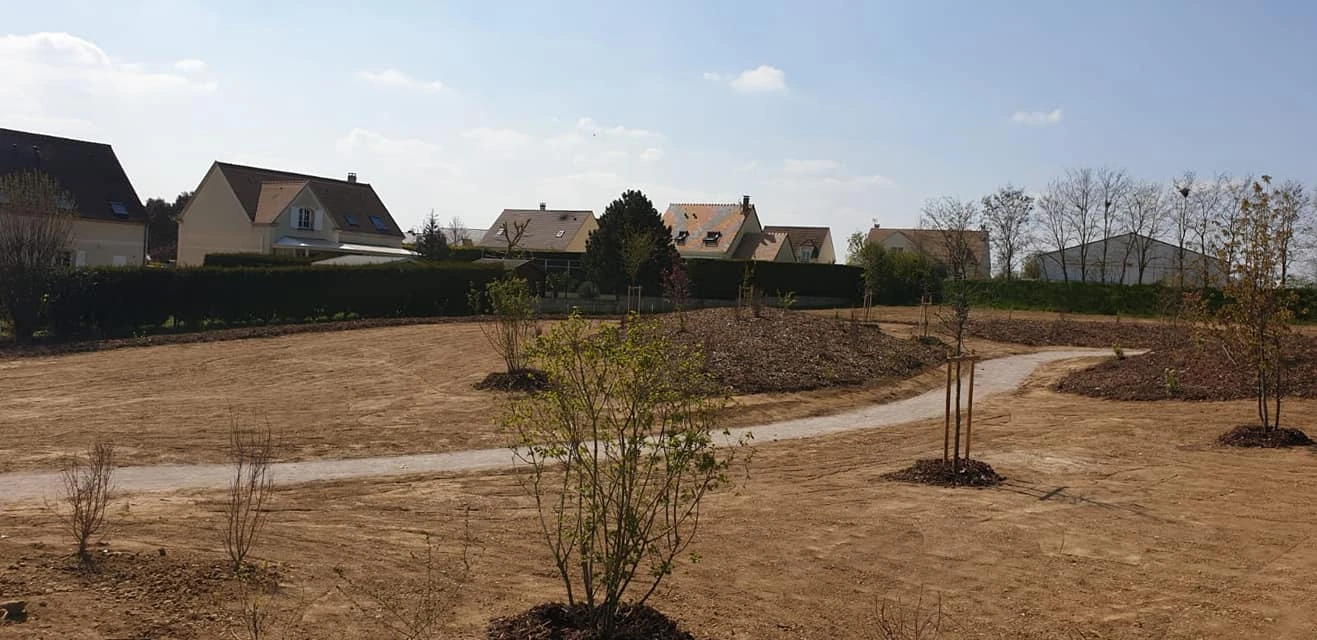 Plantations paysagères pour particuliers, professionnels et collectivités – PRO PAYSAGE