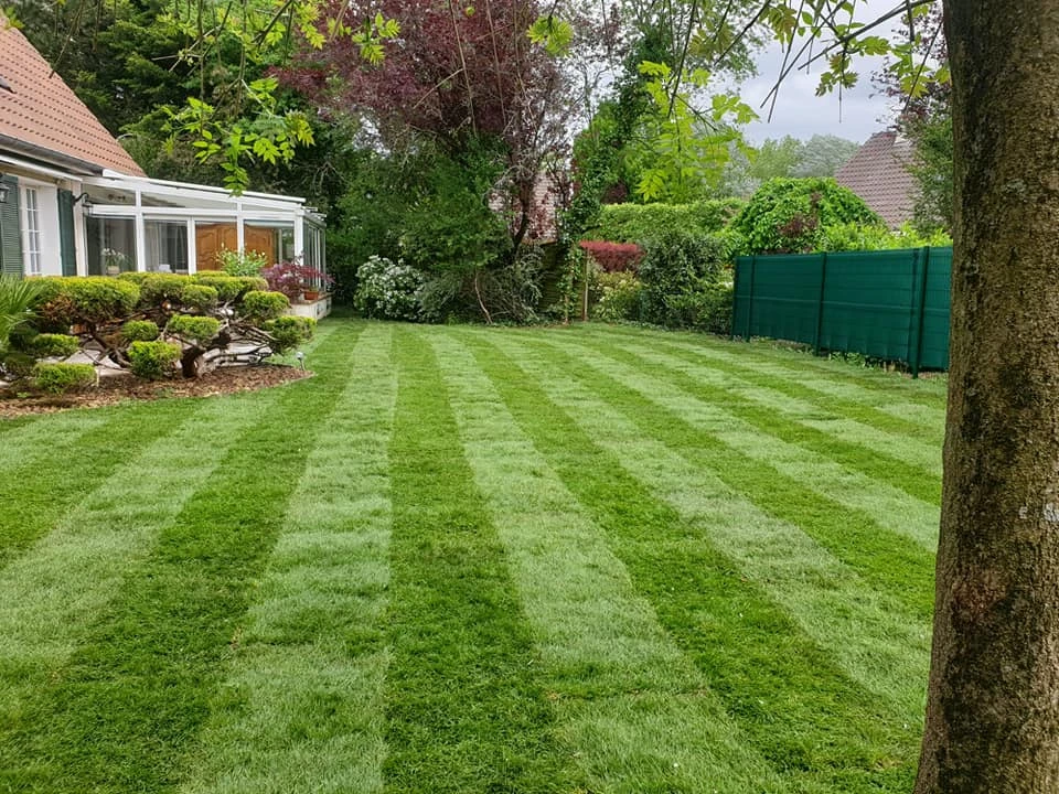 Tonte de pelouse pour particuliers, professionnels et collectivités – PRO PAYSAGE