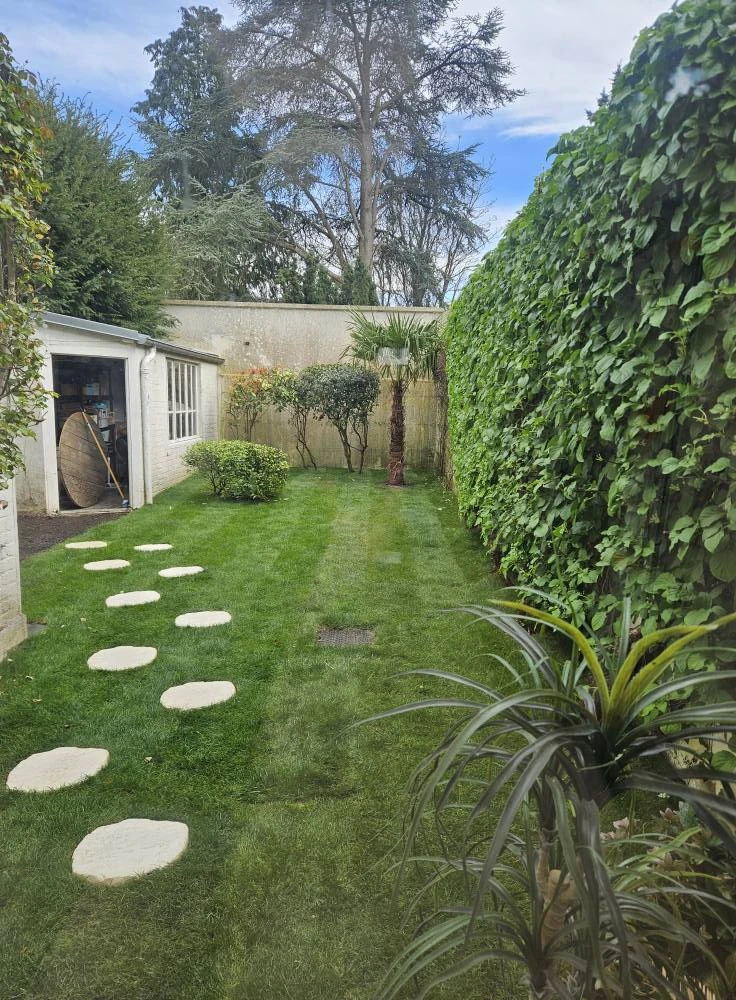 Création d’aménagements paysagers et massifs pour particuliers, professionnels et collectivités – PRO PAYSAGE