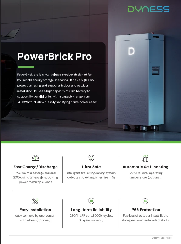 Batterie Dyness Power Brick Pro 14.3 kwh 52.1v basse tension pose inclus