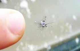 Réparation d'impact