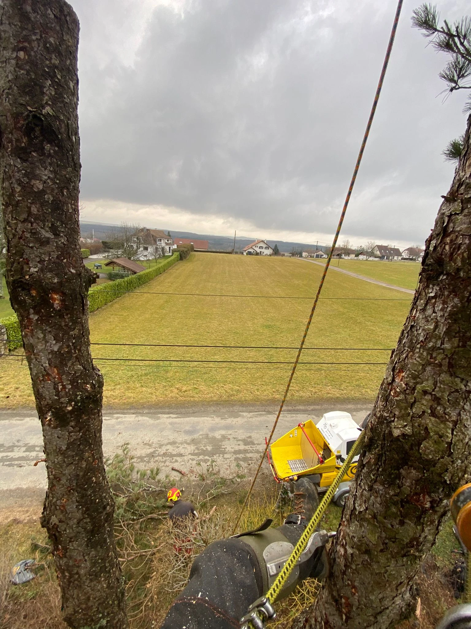Élagage et démontage d’arbres à Besançon et alentours (25) - Intervention sécurisée par élagueurs diplômés
