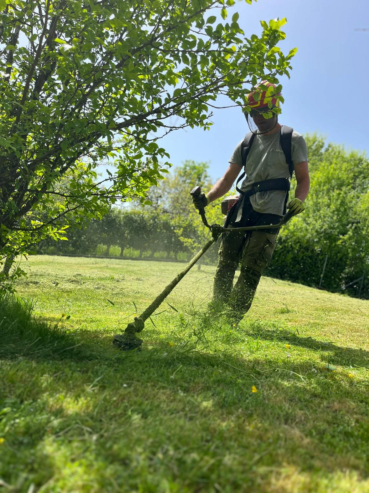 Tonte de pelouse à Besançon et alentours dans le Doubs (25) – Entretien soigné et gestion raisonnée des espaces verts