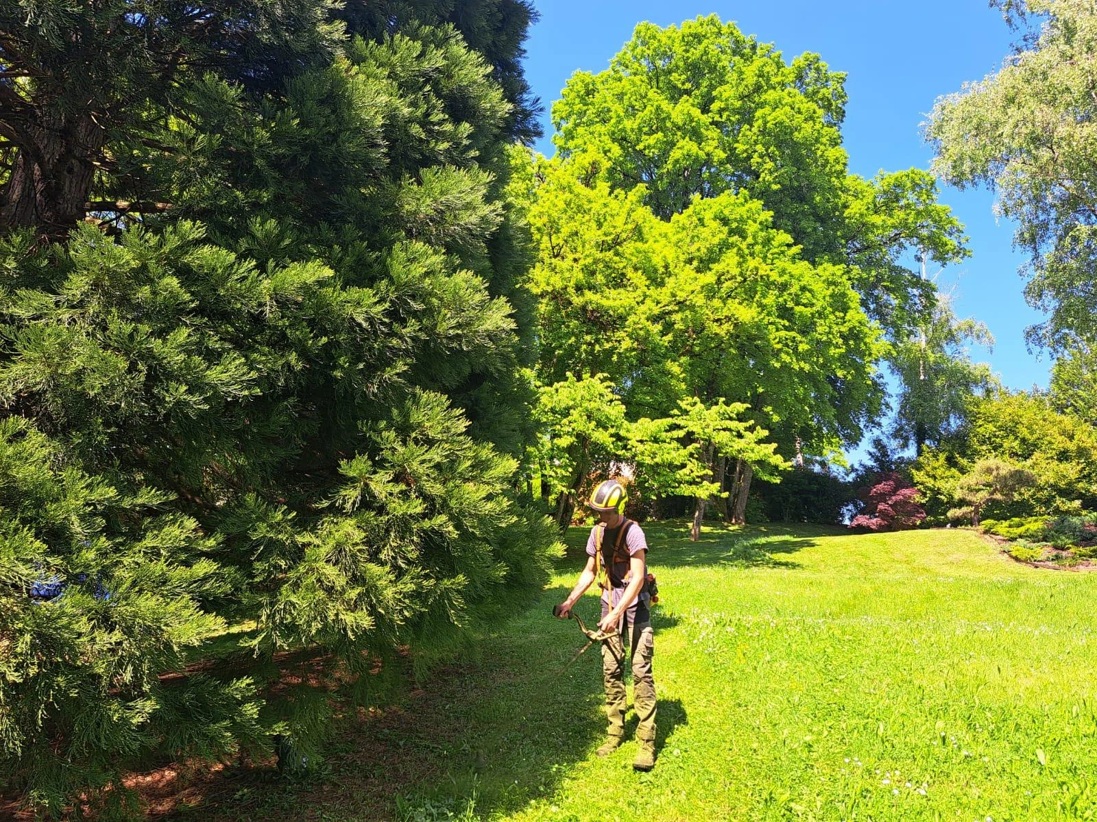Tonte de pelouse à Besançon et alentours dans le Doubs (25) – Entretien soigné et gestion raisonnée des espaces verts