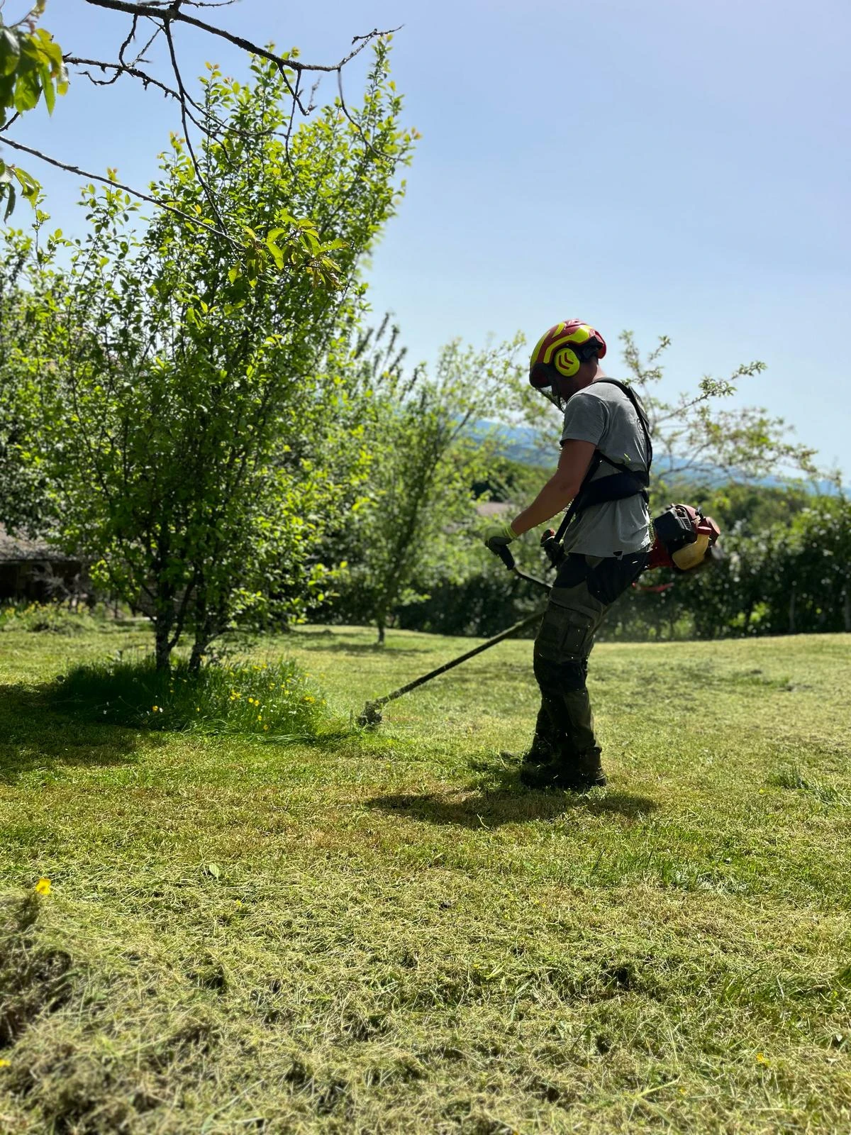 Tonte de pelouse à Besançon et alentours dans le Doubs (25) – Entretien soigné et gestion raisonnée des espaces verts