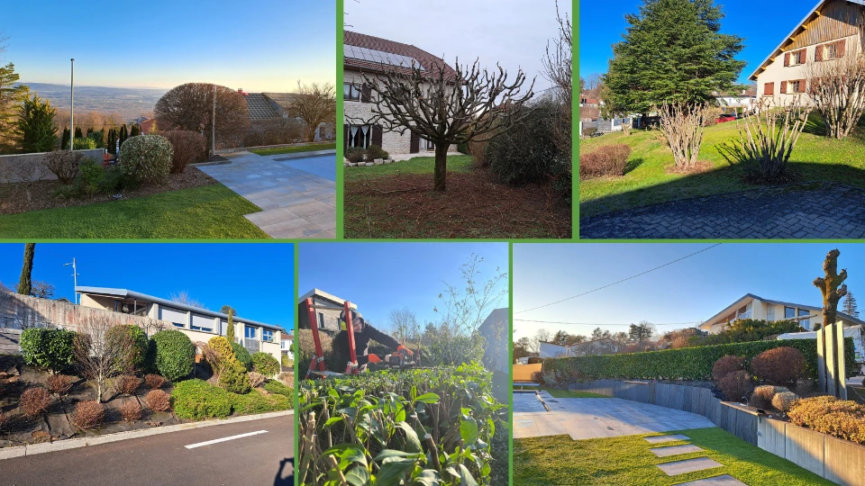 Taille de haies, massifs et fruitiers à Besançon et alentours dans le Doubs (25) – Intervention experte