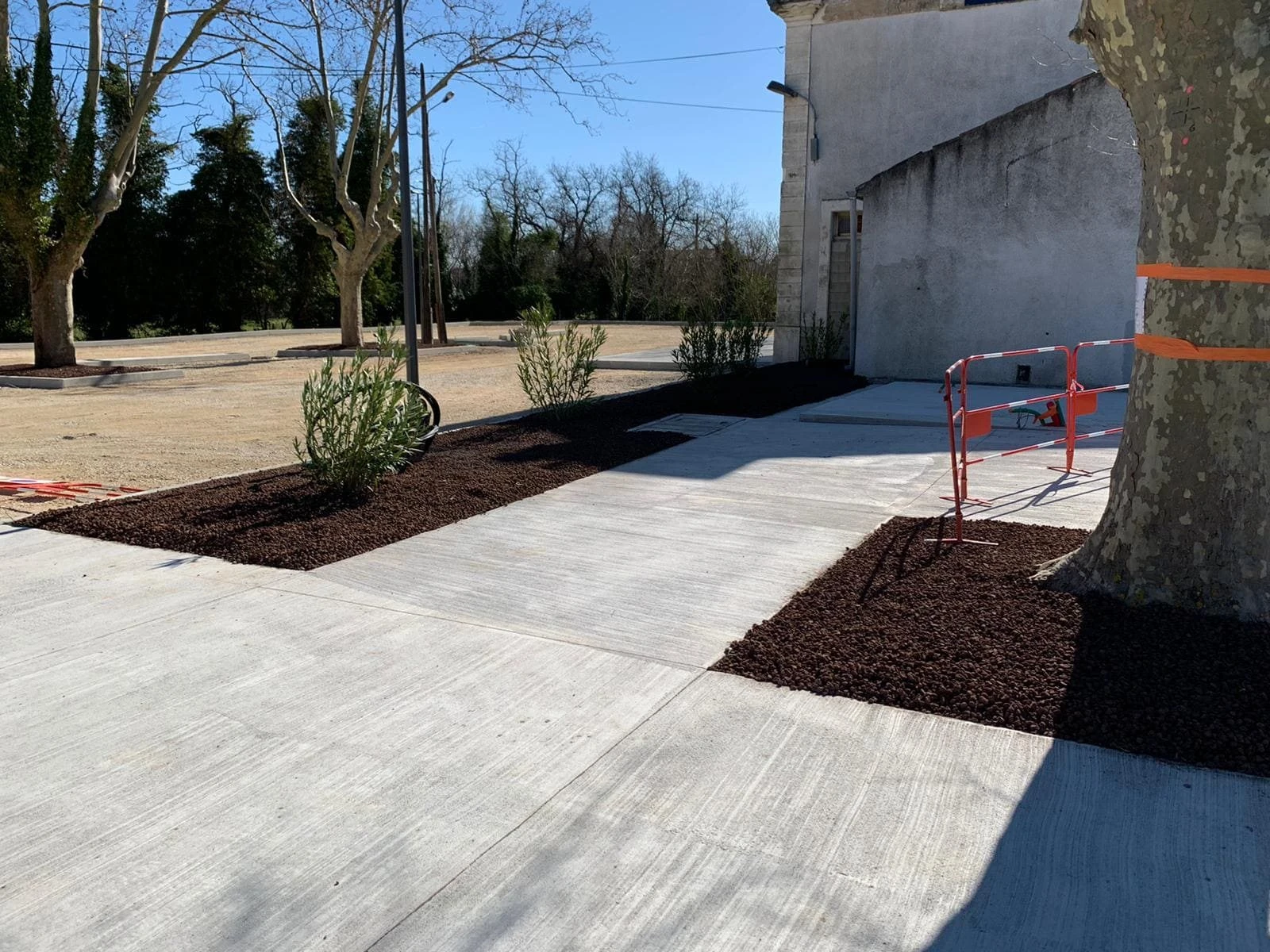 Création de jardins résistants à la sécheresse dans les Bouches-du-Rhône : des aménagements durables et esthétiques