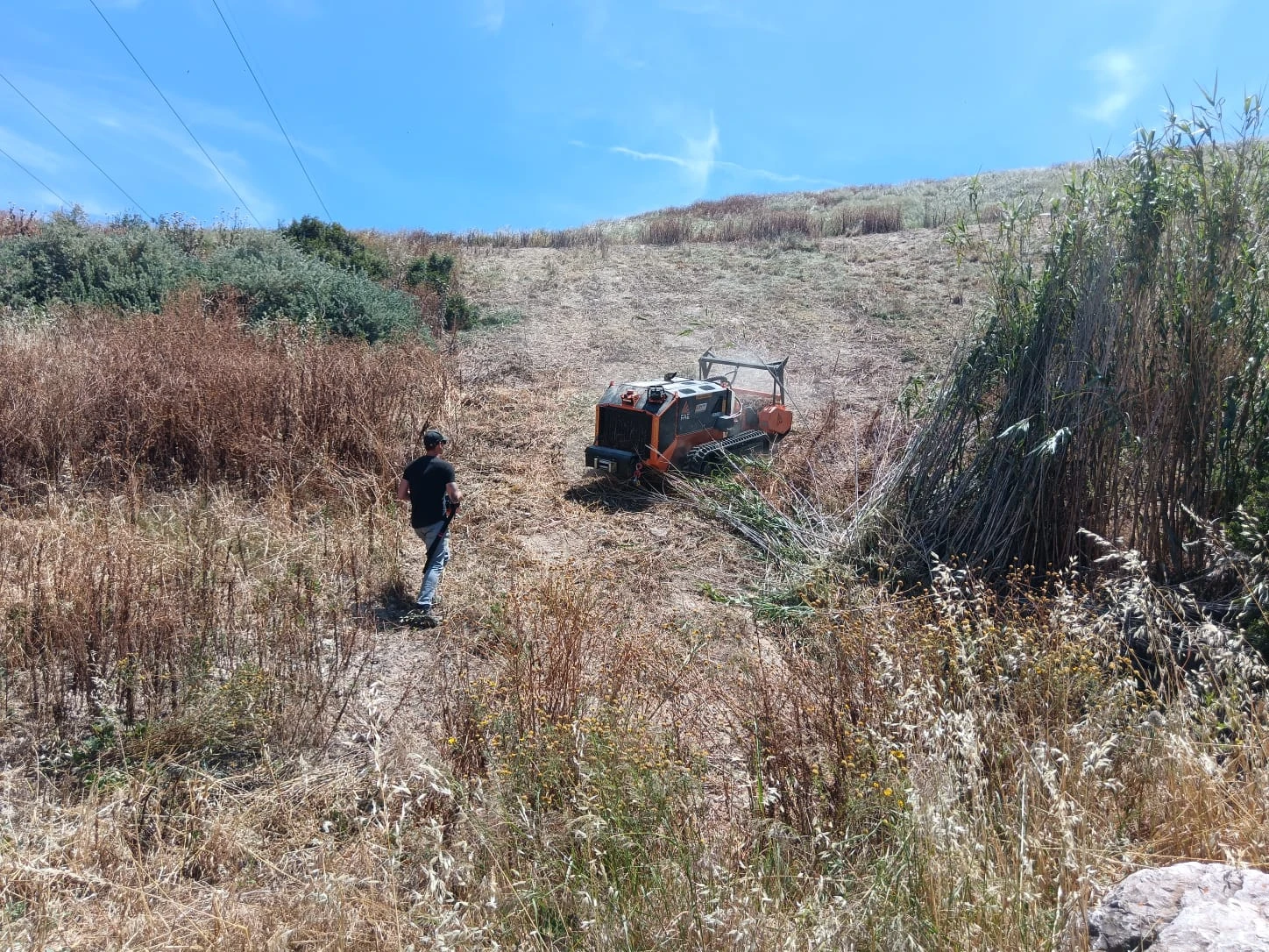 Préparation des terrains avant l’été : débroussaillage, taille et sécurisation des abords