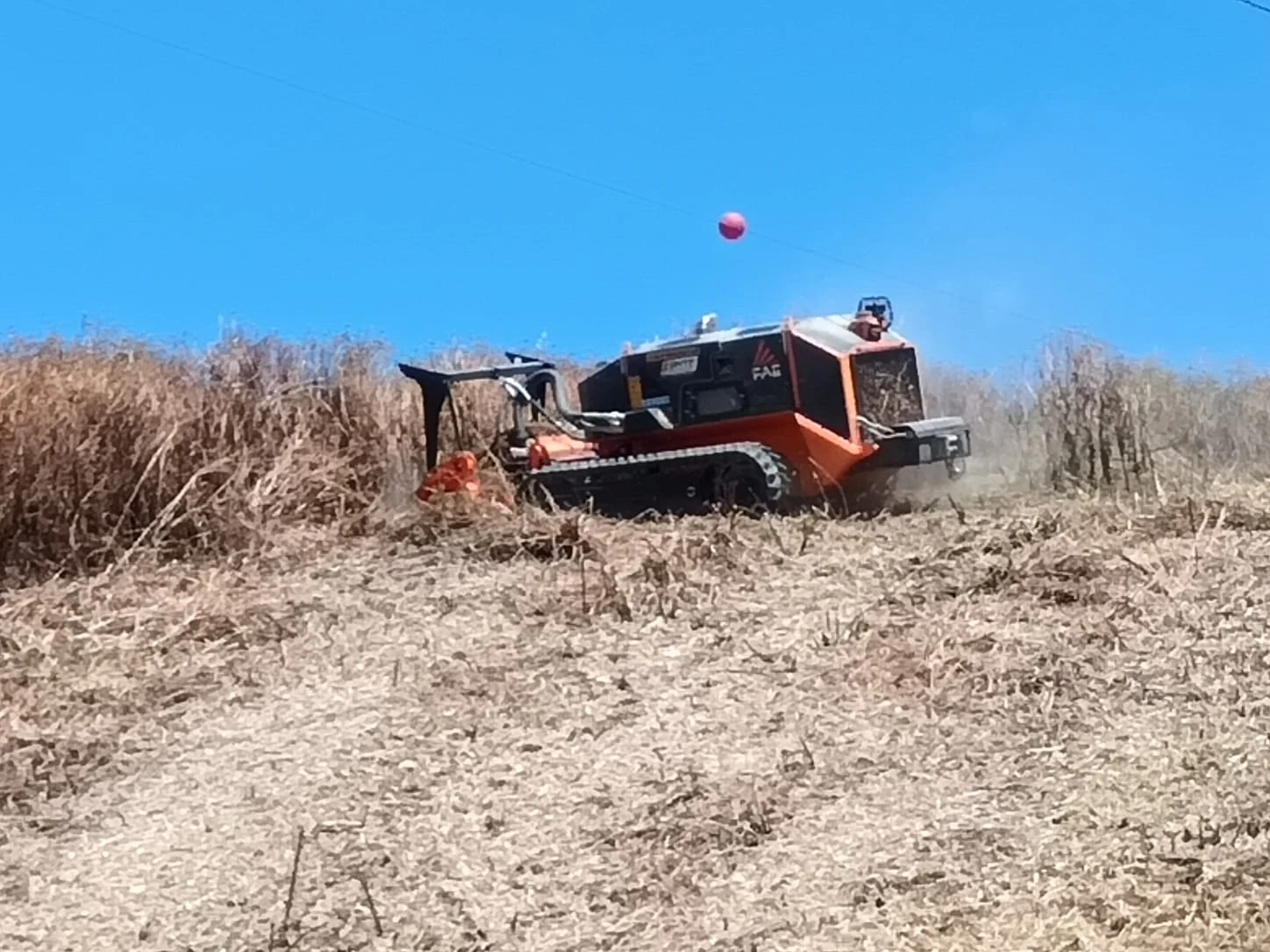 Préparation des terrains avant l’été : débroussaillage, taille et sécurisation des abords