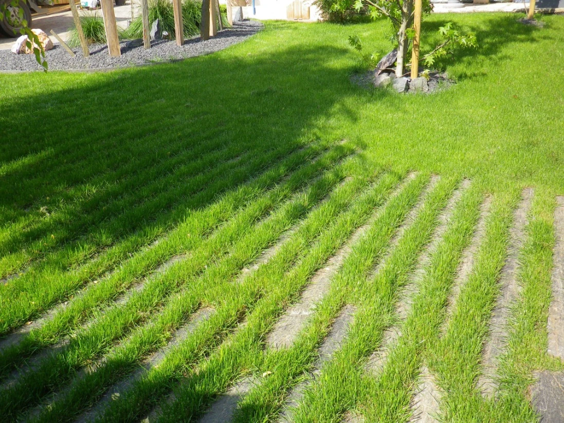 Création de gazon – Pelouse neuve & rénovation de terrain