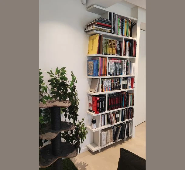 Meuble bibliothèque