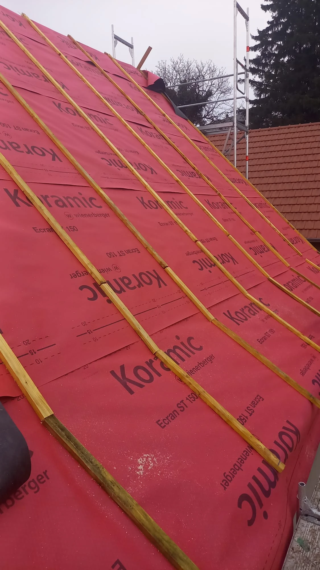 CHANTIER RENOVATION COMPLETE TRIMBACH STEINSELTZ WISSEMBOURG SCHLEITHAL