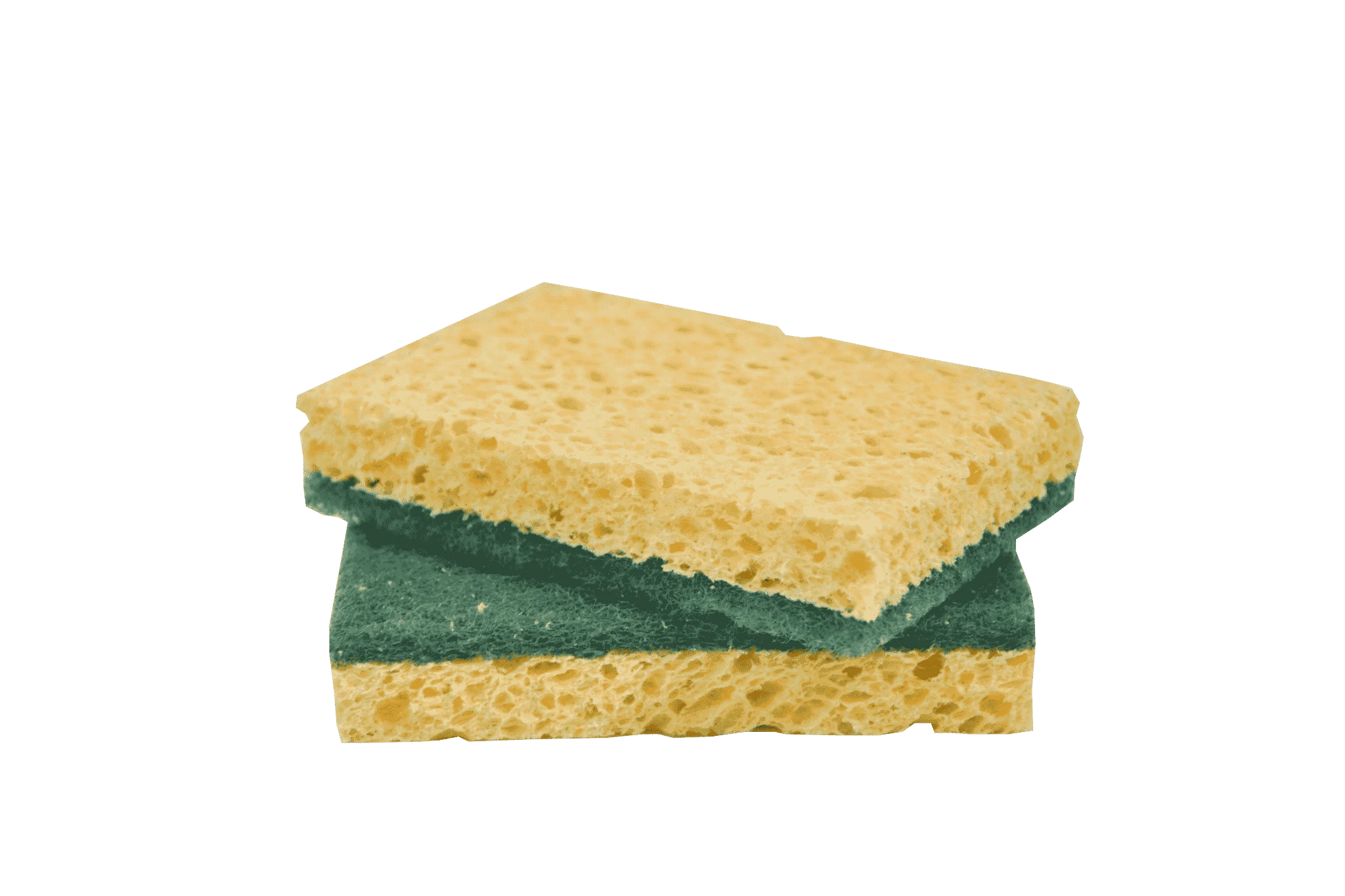 EPONGE METALLIQUE 100 G.