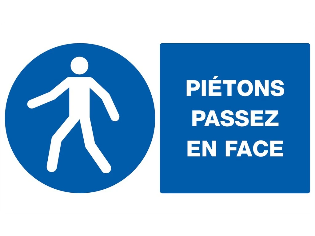 PANNEAU DE SIGNALISATION D. 300 INTERDIT STRATIONNEE