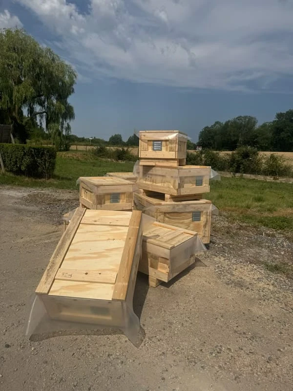 Caisses et caissons en bois sur mesure pour l'industrie, le transport et l'export