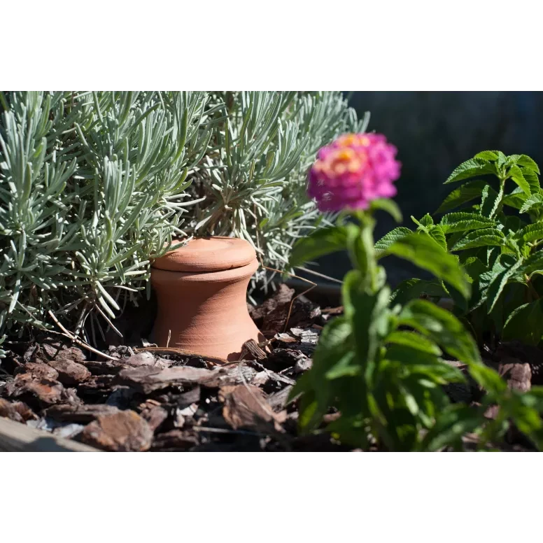 Petit Kit Jardin