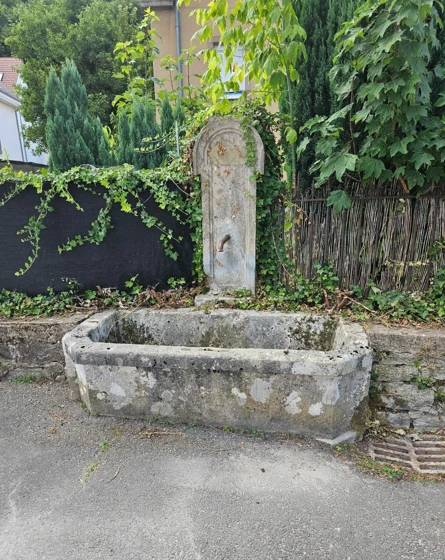 Nettoyage des monuments  aux morts, calvaires et fontaines
