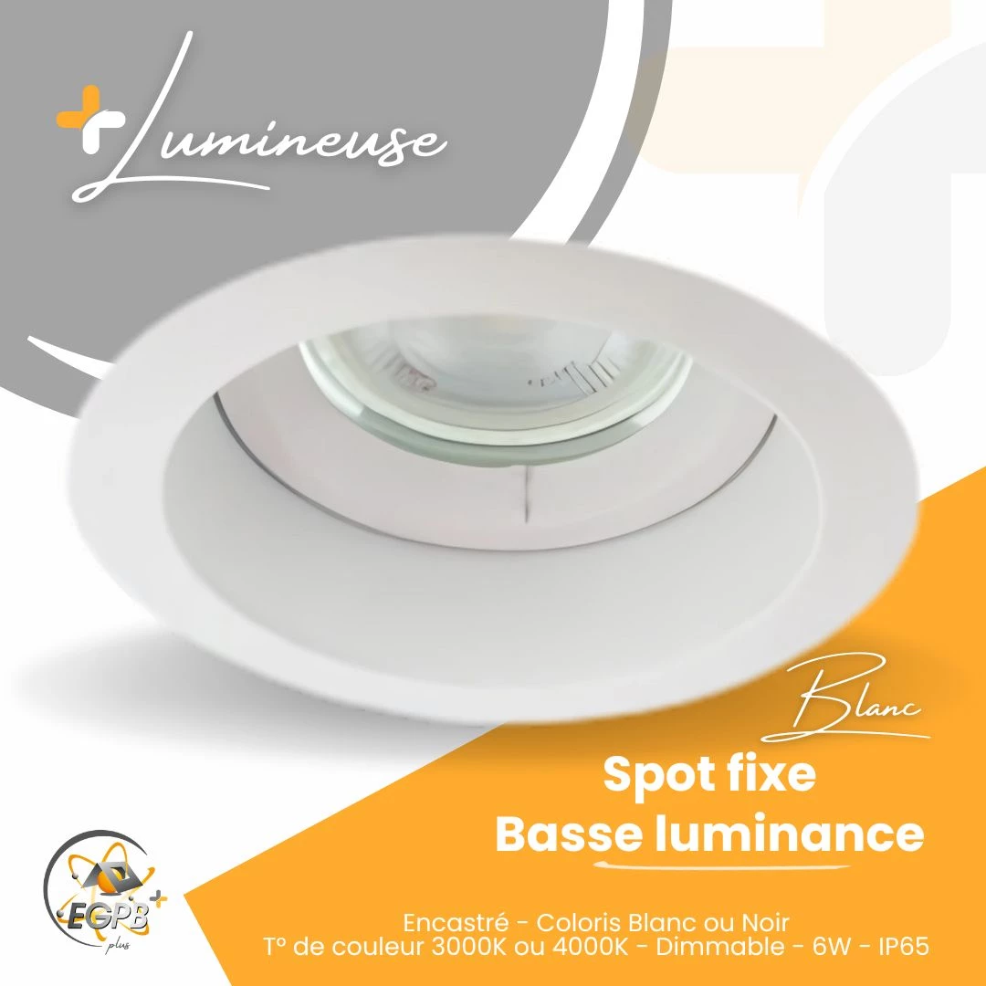 +Lumineuse - Spot Fixe Basse Luminance - RE2020 - EGPB+