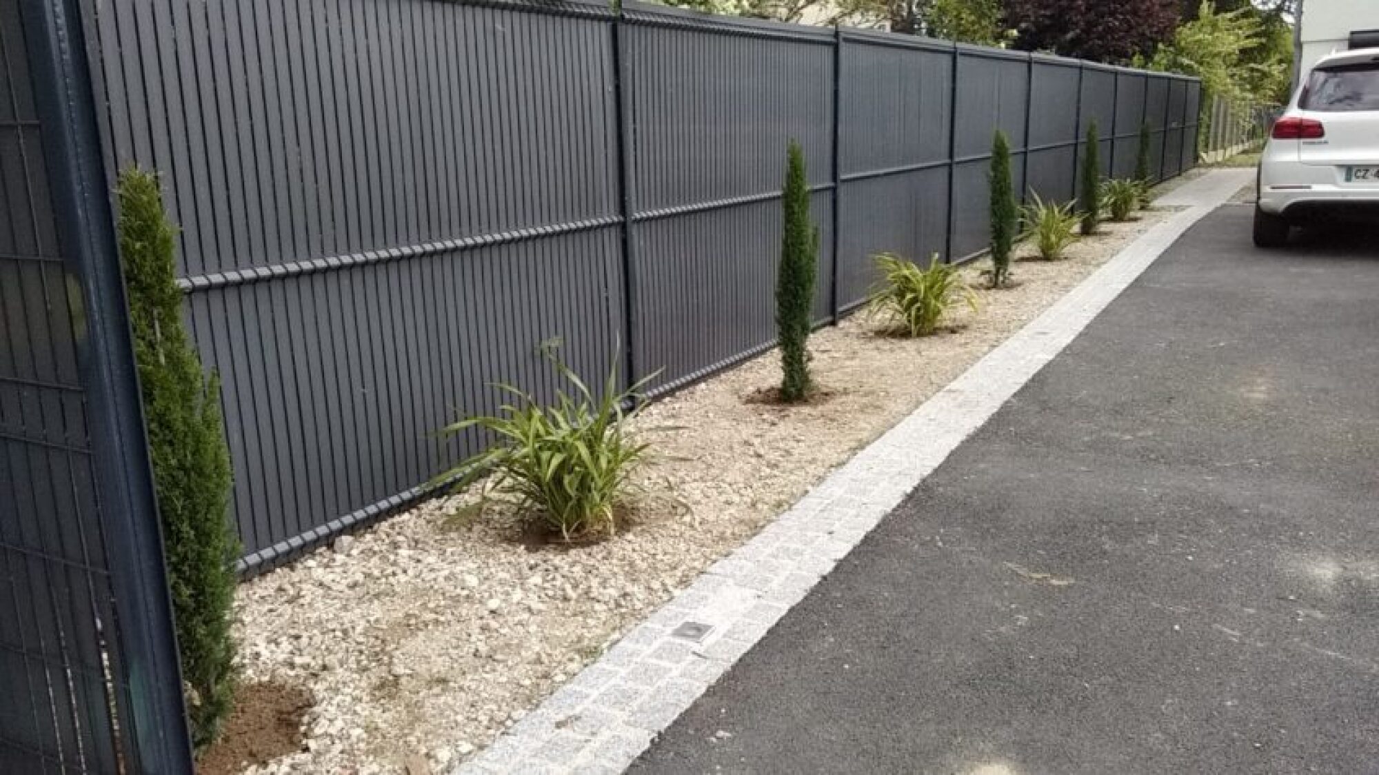 Plantation arbres
