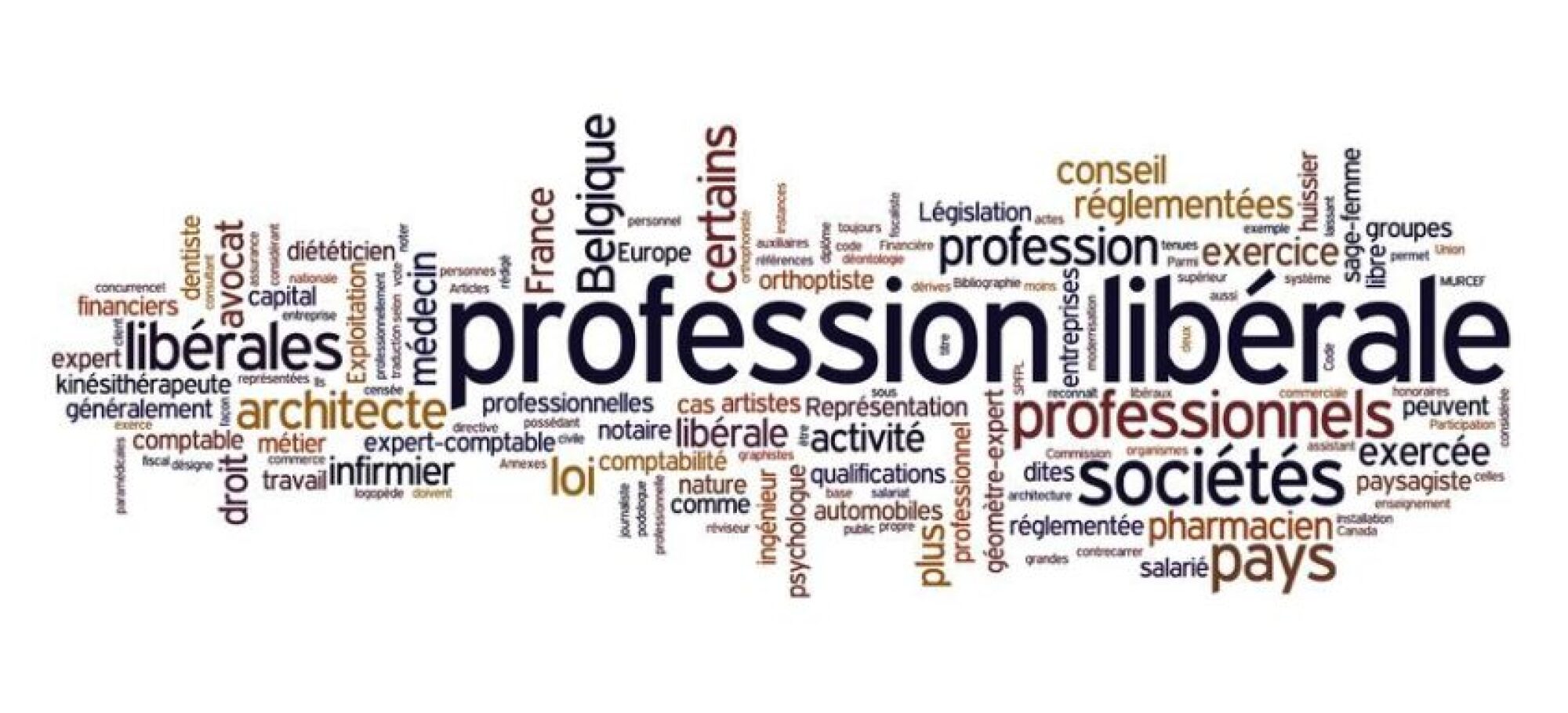 Accompagnement à la création profession libérale