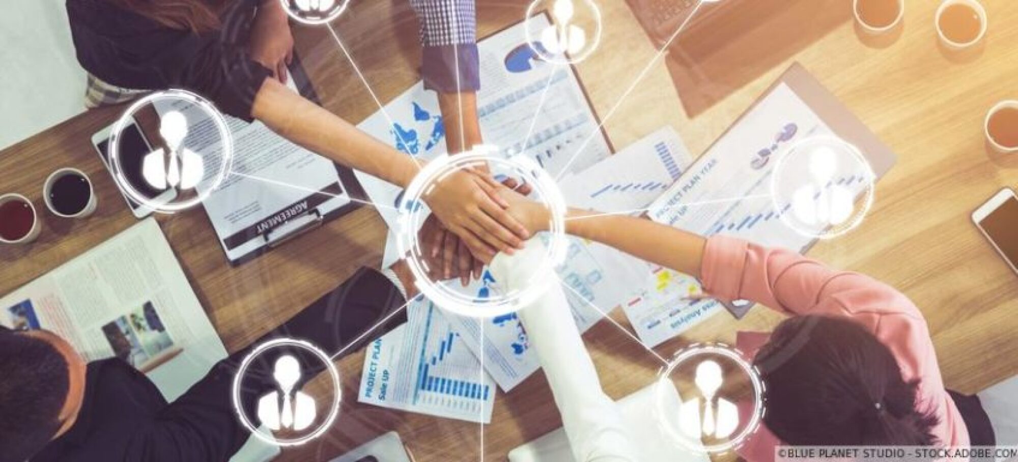 Accompagnement dans la gestion sociale