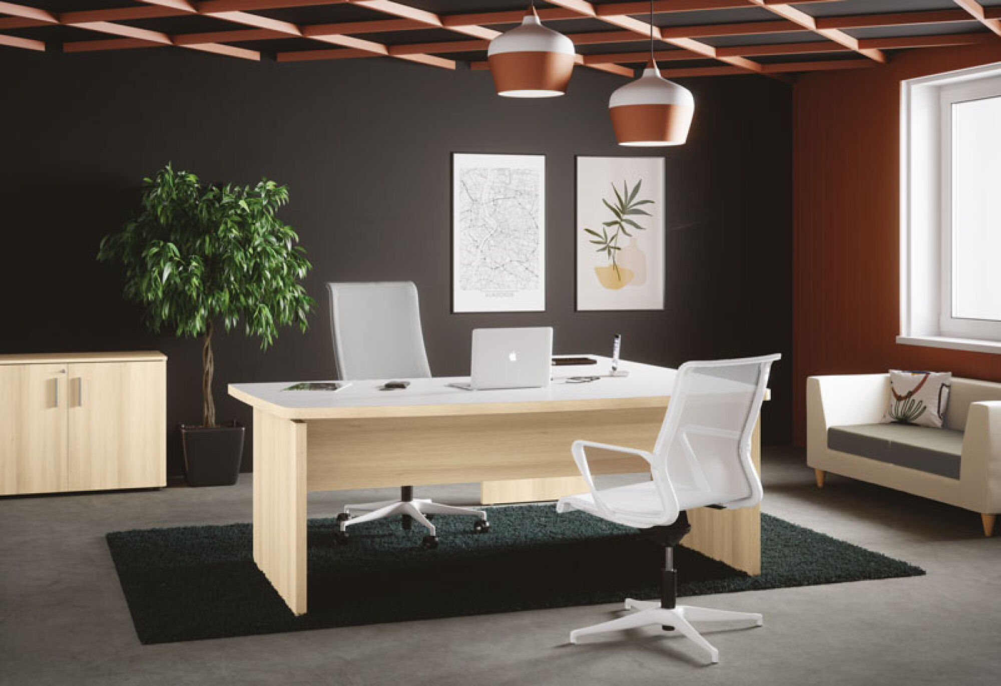 Bureau de direction Zenion plan courbe