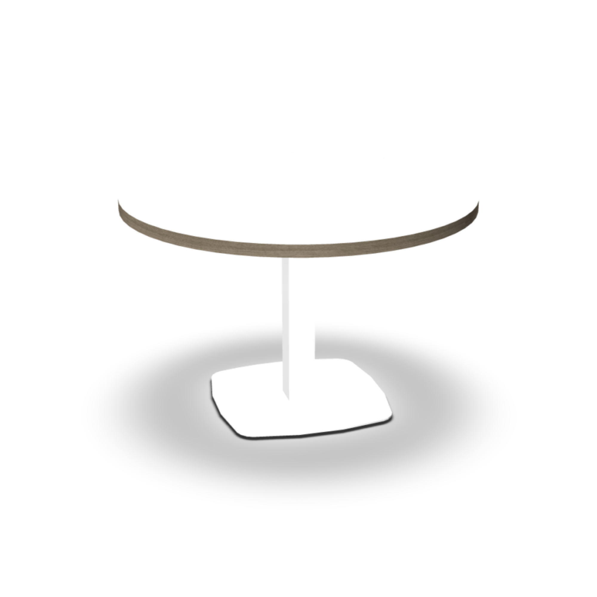 Table ronde Zenion