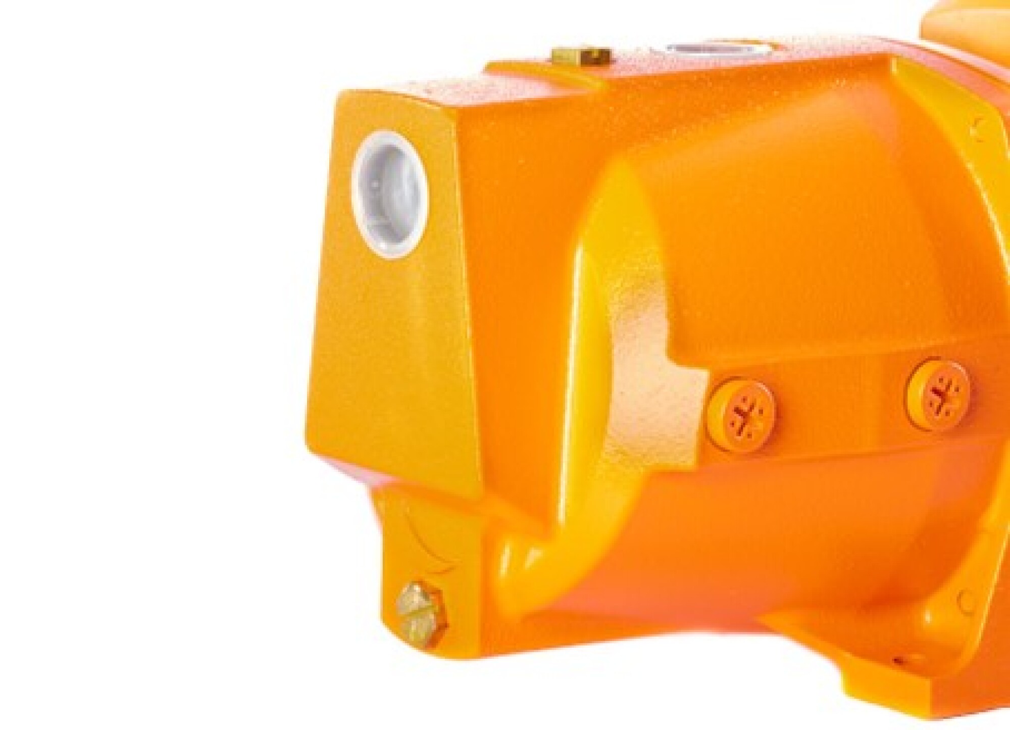 Pompe électrique de surface jet 1100W