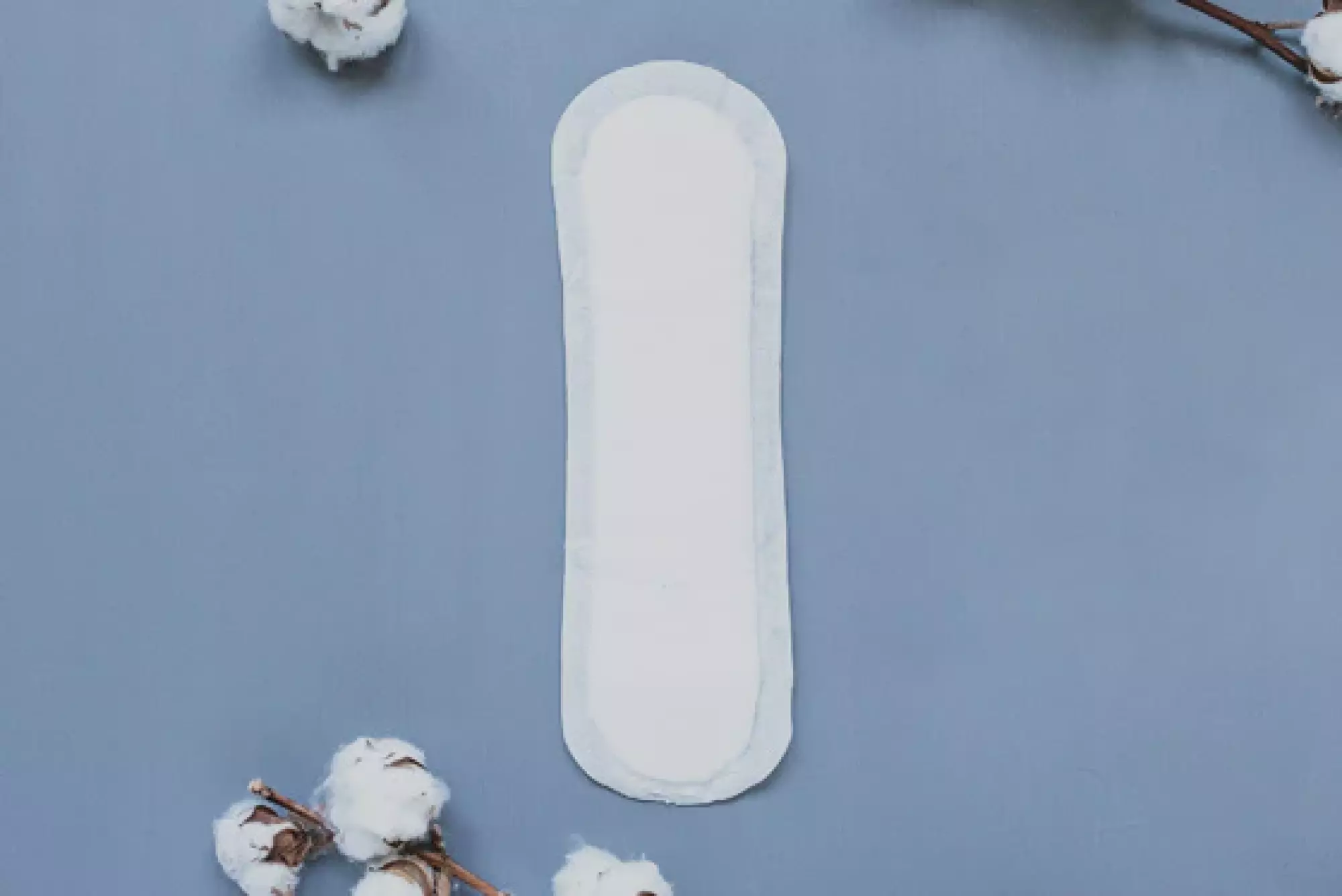 Serviettes Naturelles Maxi Regular