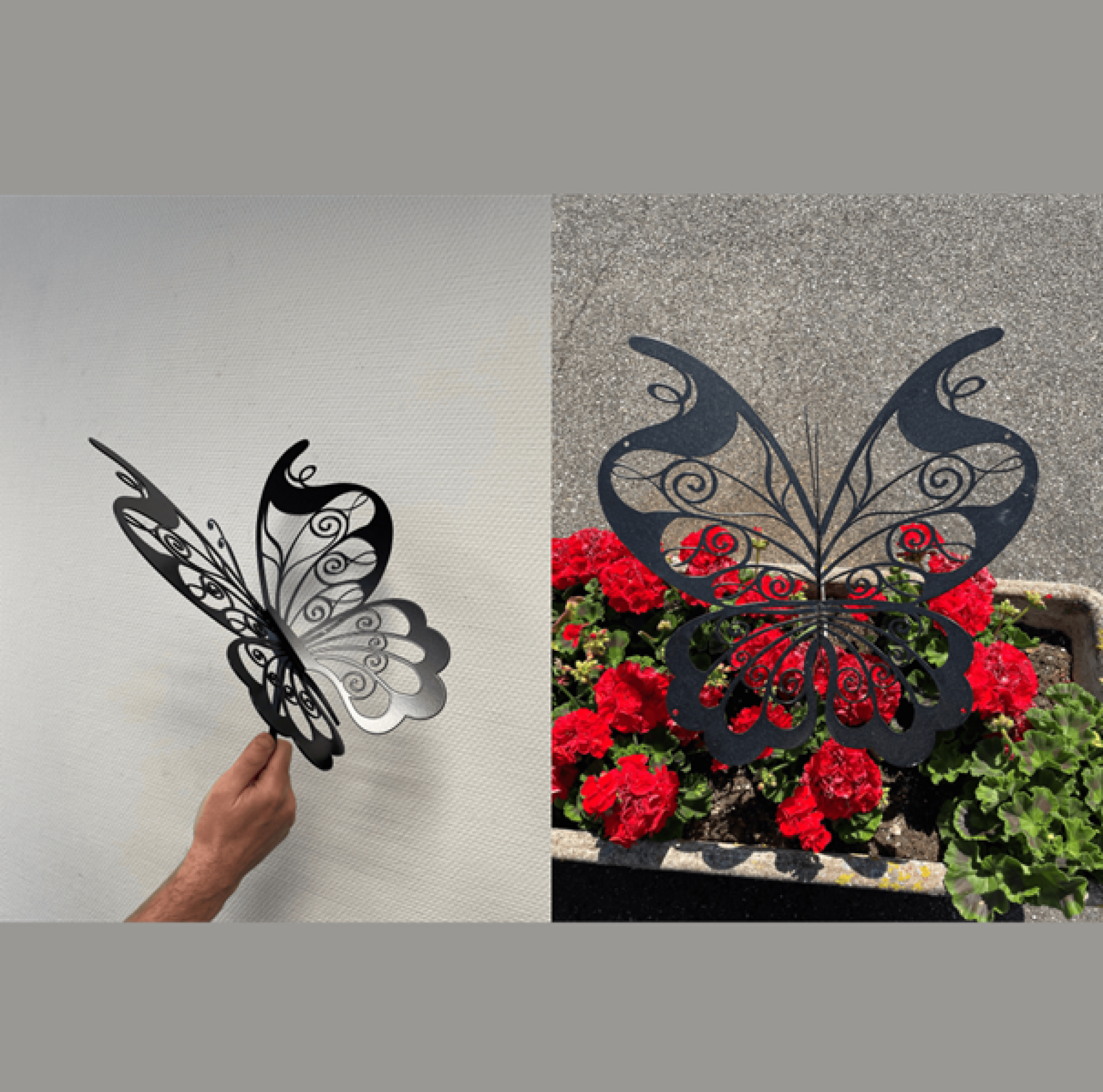 Papillon à planter