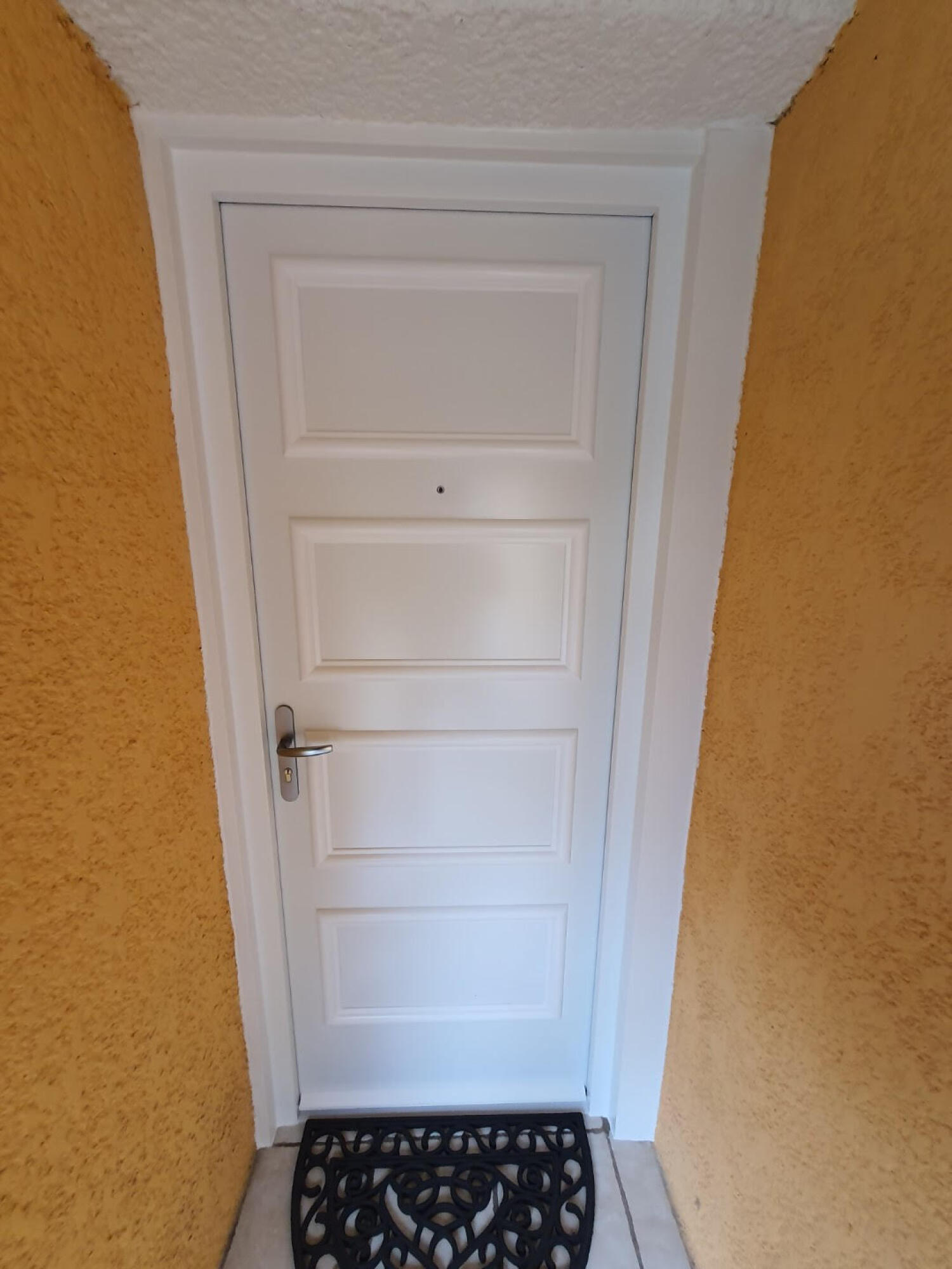 Porte d'entrée Bati métal modèle Genève