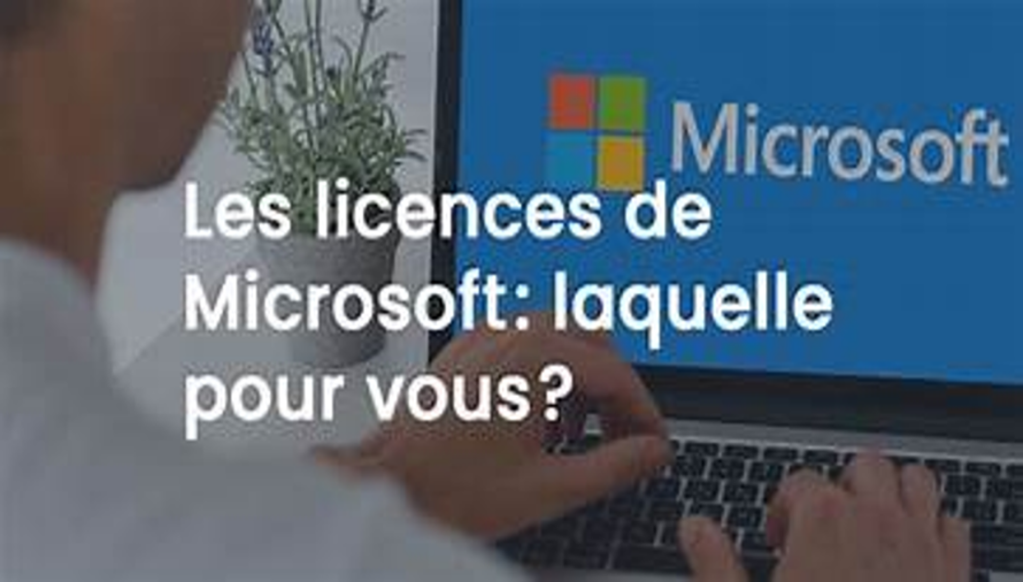 Licence Microsoft