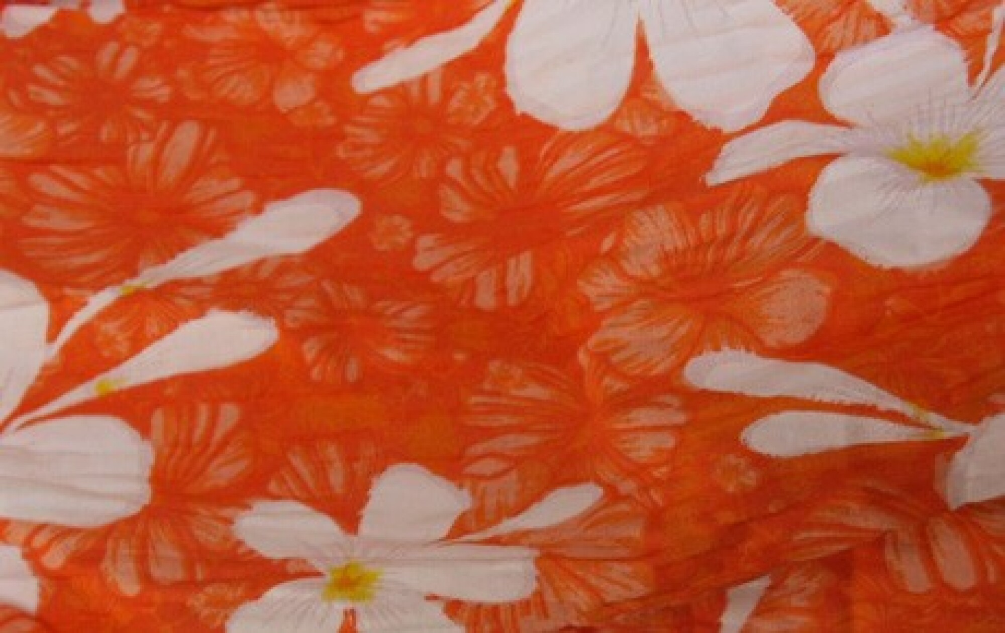 Bandeaux fleurs